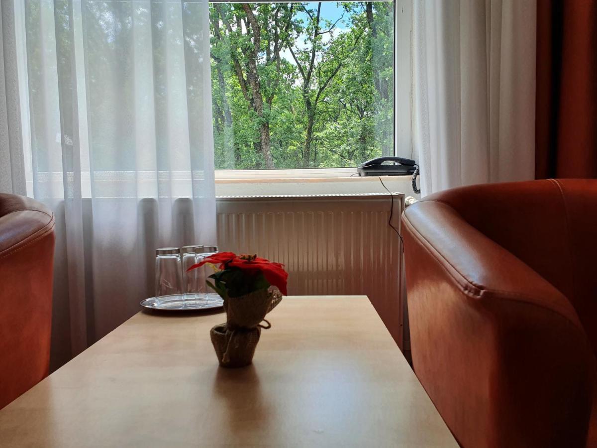 Hotel Cornul Vanatorului Piteşti Buitenkant foto