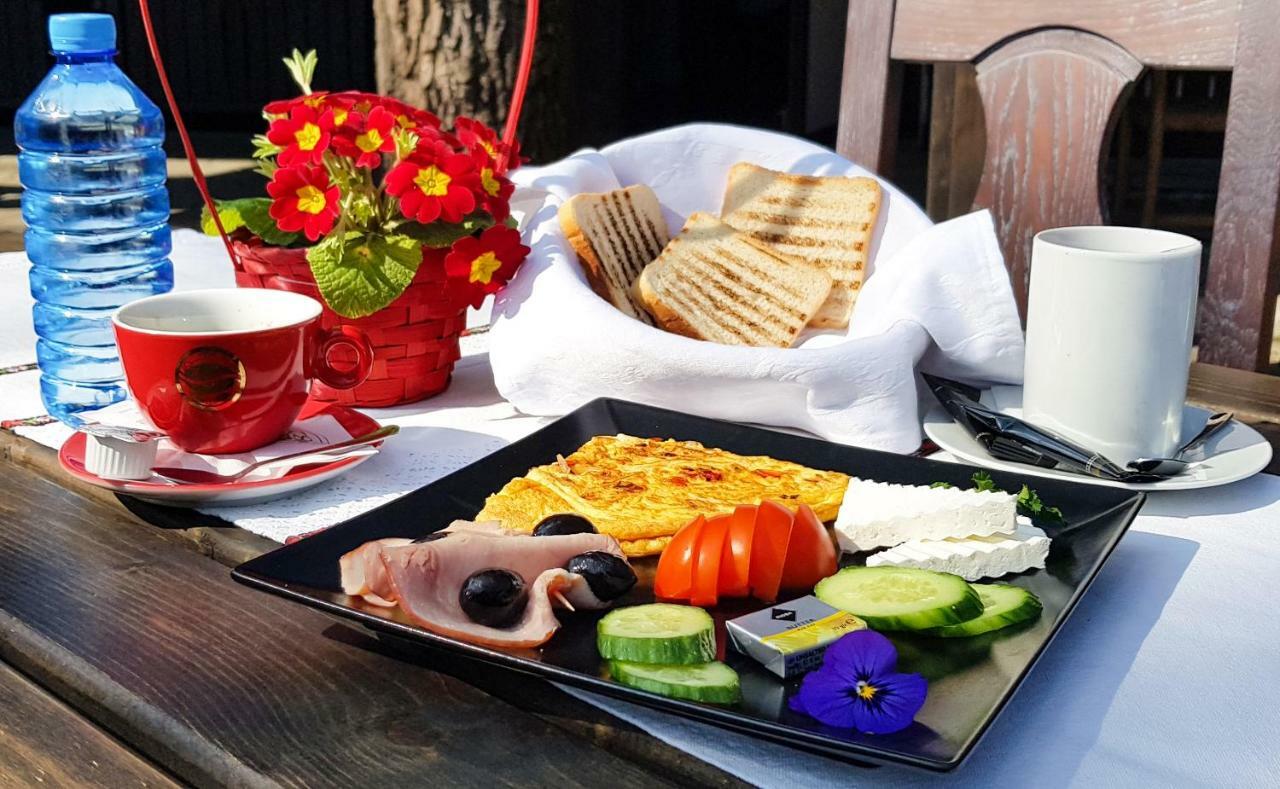Hotel Cornul Vanatorului Piteşti Buitenkant foto
