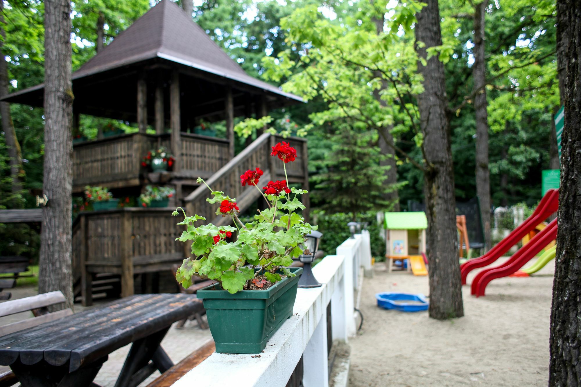 Hotel Cornul Vanatorului Piteşti Buitenkant foto